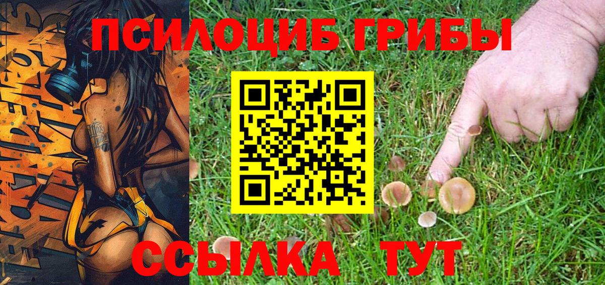 Галлюциногенные грибы Magic Shrooms Протвино
